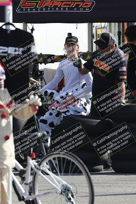 media/Oct-31-2025-CVMA Friday Practice (Fri) [[e9defcbea4]]/1-Around the Pits/